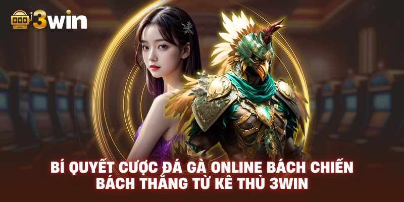 Bí Quyết Cược Đá Gà Online Bách Chiến Bách Thắng Từ Kê Thủ 3WIN